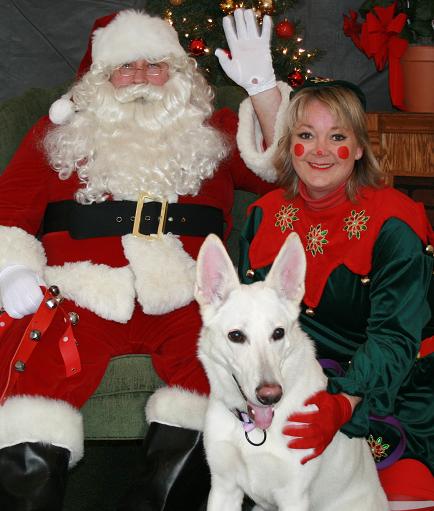 Heidi wishes for a new home!